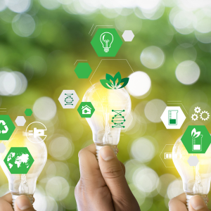 How to make your business more sustainable