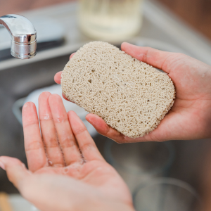 Why You Should Choose Eco-Friendly Dishwashing Detergents for Your Business